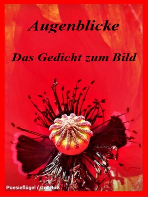 cover image of Augenblicke--Das Gedicht zum Bild